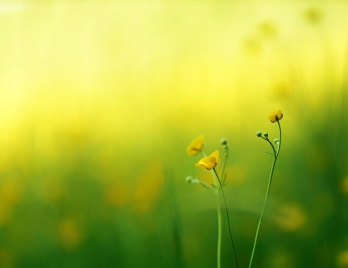 Общетерапевтическая - Лечебные программы - Санаторий «Здоровье» Железноводск