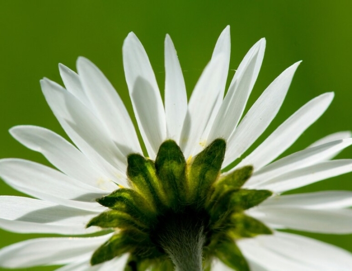 Оздоровительная - Лечебные программы - Санаторий «Здоровье» Железноводск